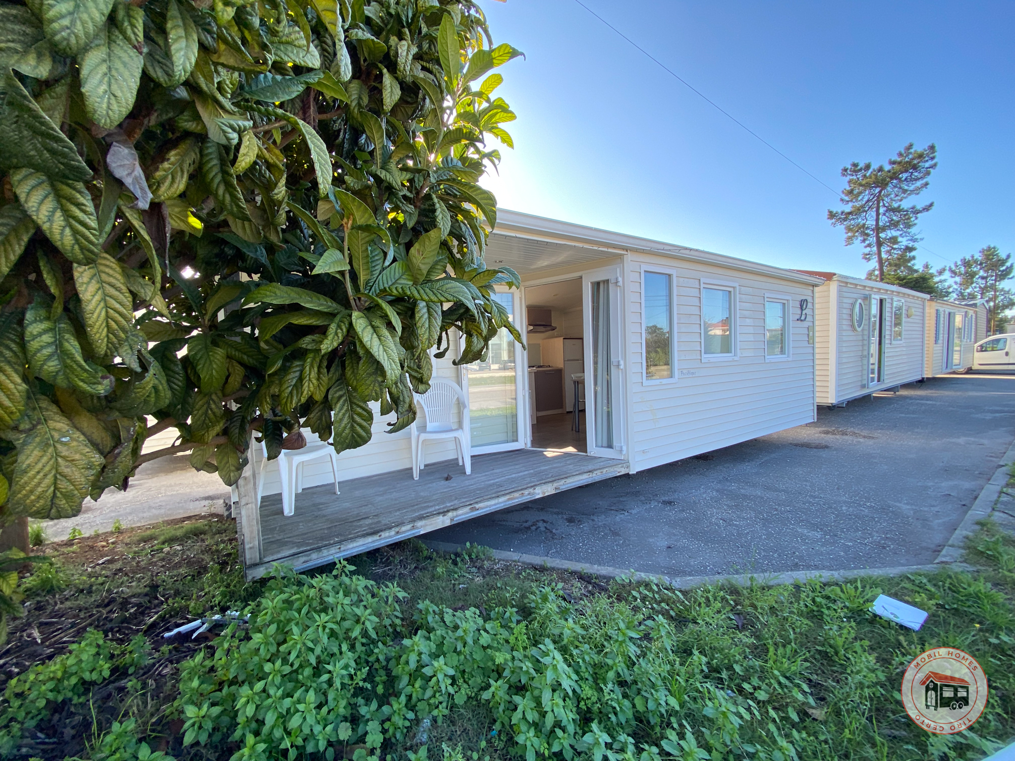 480209600_122156248964344182_6433792279830799656_n